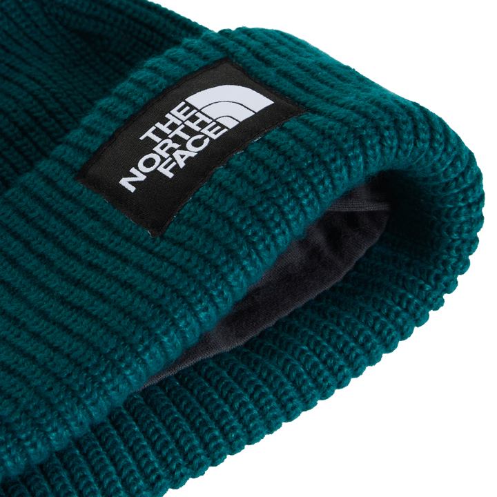 The North Face Salty Lined Beanie Pacific Teal The North Face