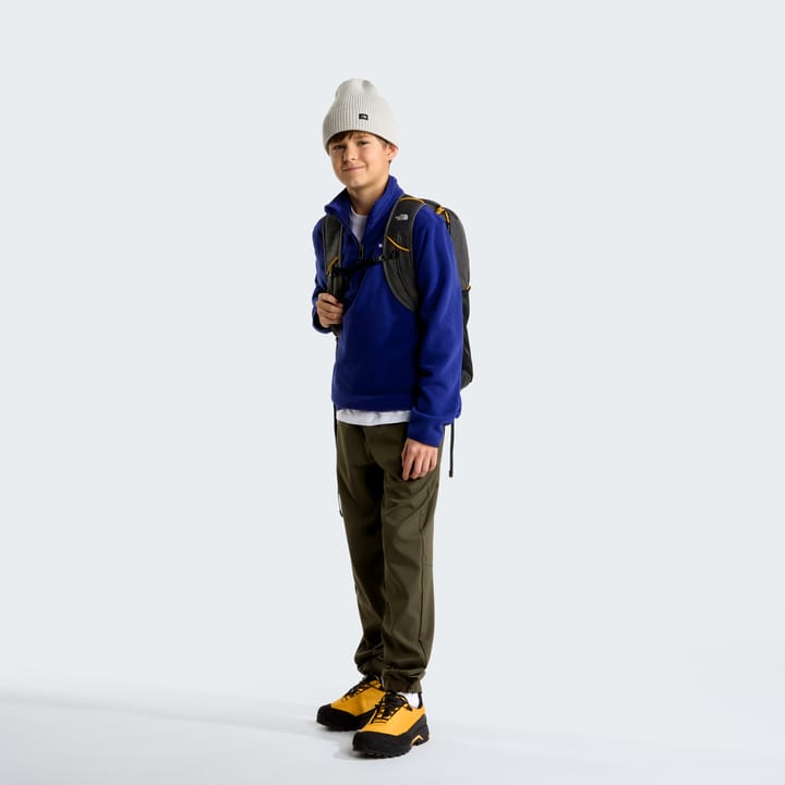 The North Face Teens' Glacier 1/4 Zip Pullover Bold Blue The North Face