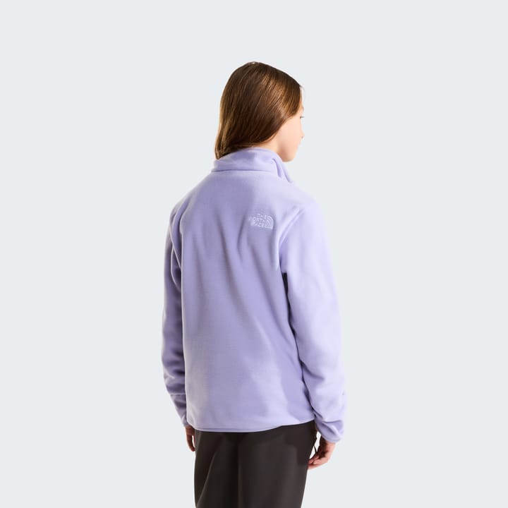 The North Face Teens' Glacier 1/4 Zip Pullover Pale Plum The North Face