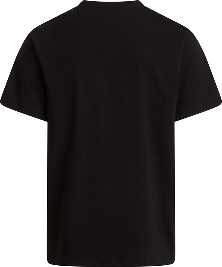 The North Face Men's Evolution Simple Dome Regular T-Shirt TNF Black The North Face
