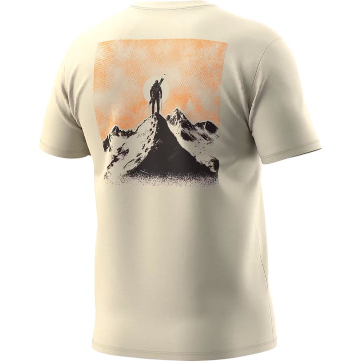 Dynafit Back Graphic Co T-Shirt M Overcast/summit Dynafit