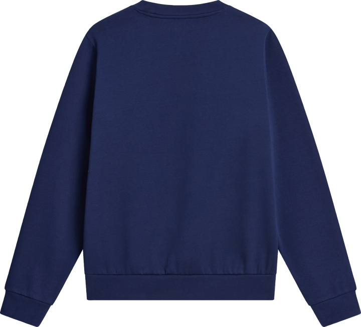 The North Face Men's Evolution Simple Dome Regular Sweatshirt Summit Navy The North Face