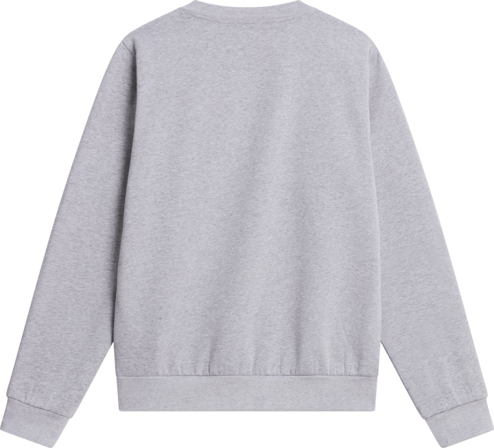The North Face Men's Evolution Simple Dome Regular Sweatshirt TNF Pale Grey Heather The North Face