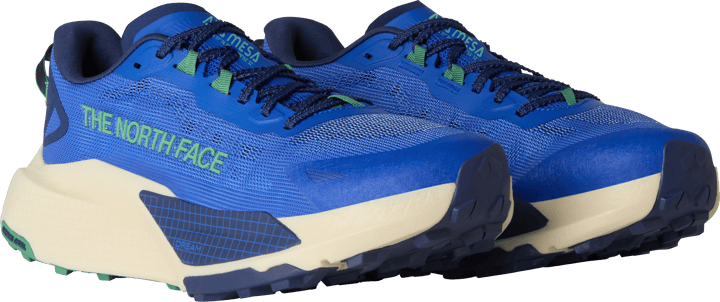 The North Face Men's Altamesa 500 V2 TNF Blue/Dimmed Algae The North Face