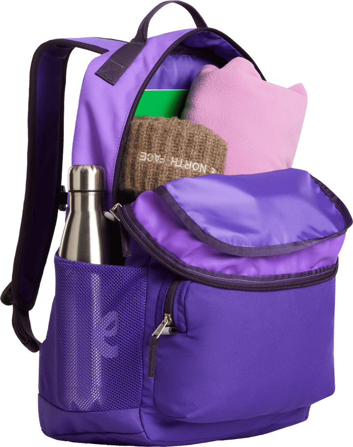 The North Face Teens' Chuckwalla Daypack Elevation Purple/Peak Purple/Endless Dusk The North Face