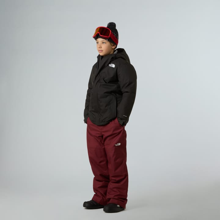 The North Face Teens' Snowquest Jacket TNF Black The North Face