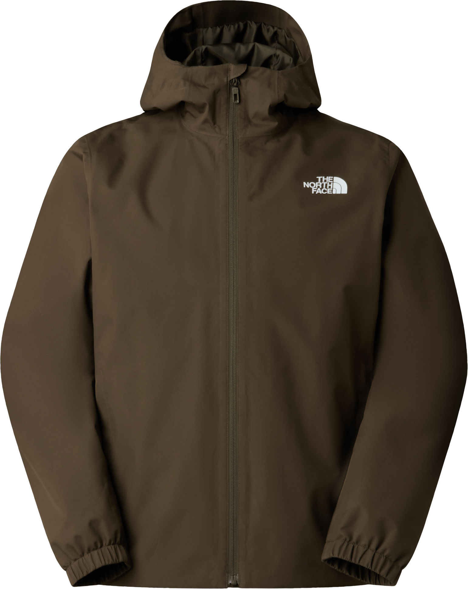 The North Face Men's Quest DryVent Jacket New Taupe Green