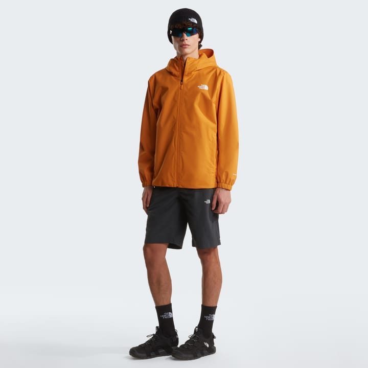 The North Face Men's Quest DryVent Jacket Dust Orange The North Face