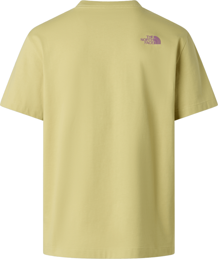 The North Face Men's Mountain Play Relaxed Graphic T-Shirt Pear The North Face
