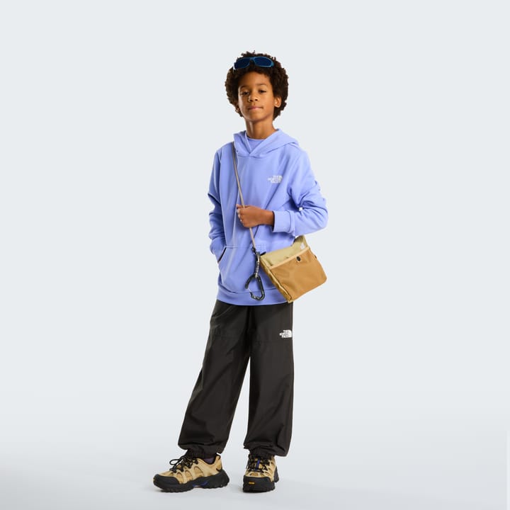 The North Face Teens' Simple Dome Light Regular Hoodie Periwinkle Glow The North Face