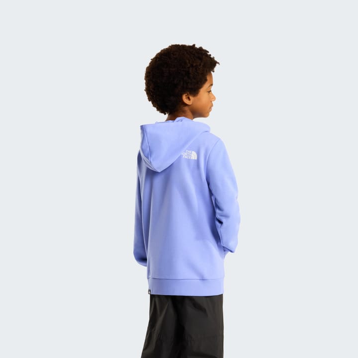The North Face Teens' Simple Dome Light Regular Hoodie Periwinkle Glow The North Face