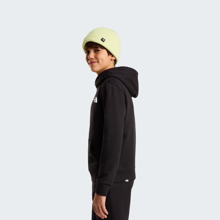 The North Face Teens' Simple Dome Light Regular Hoodie TNF Black The North Face