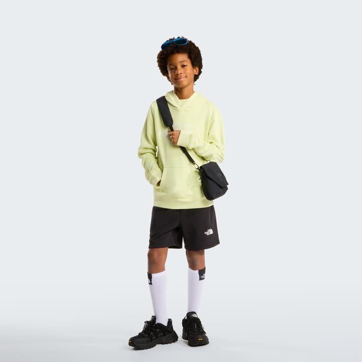 The North Face Teens' Simple Dome Light Regular Shorts TNF Black The North Face