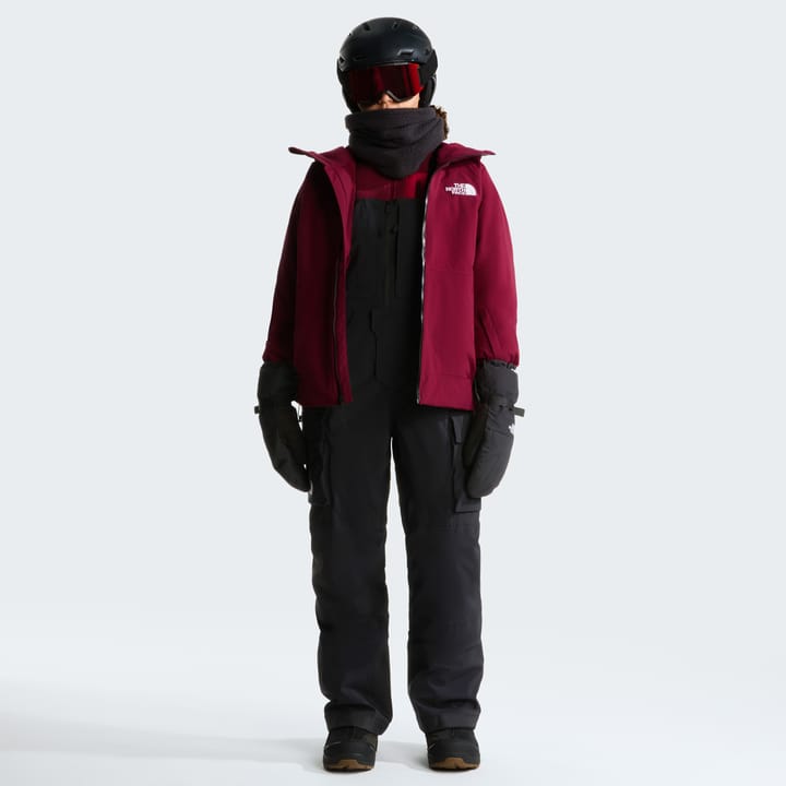 The North Face Women's Freedom Insulated Bib Pants TNF Black The North Face