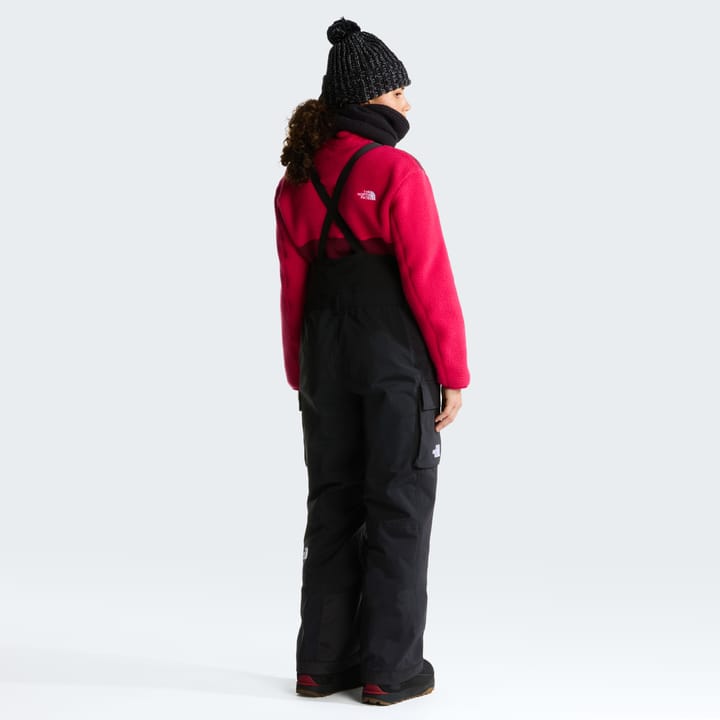 The North Face Women's Freedom Insulated Bib Pants TNF Black The North Face