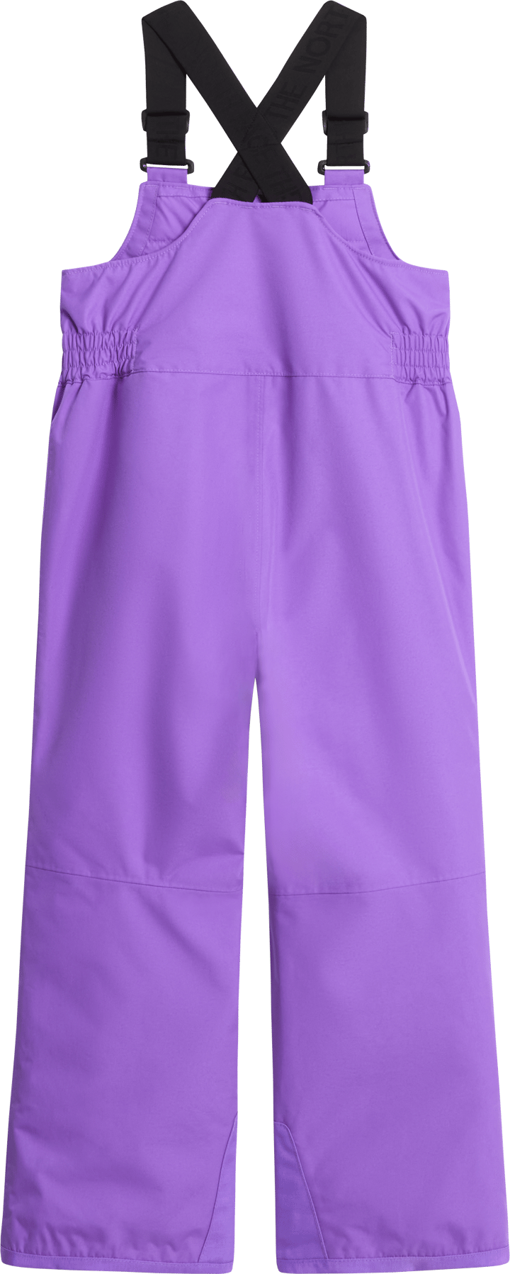The North Face Kids' Freedom Insulated Bib Pants Elevation Purple The North Face