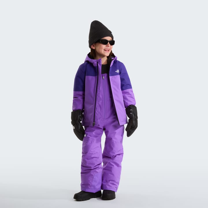 The North Face Kids' Freedom Insulated Bib Pants Elevation Purple The North Face