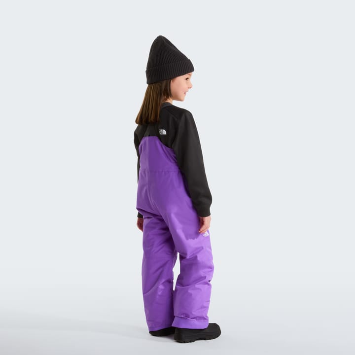 The North Face Kids' Freedom Insulated Bib Pants Elevation Purple The North Face