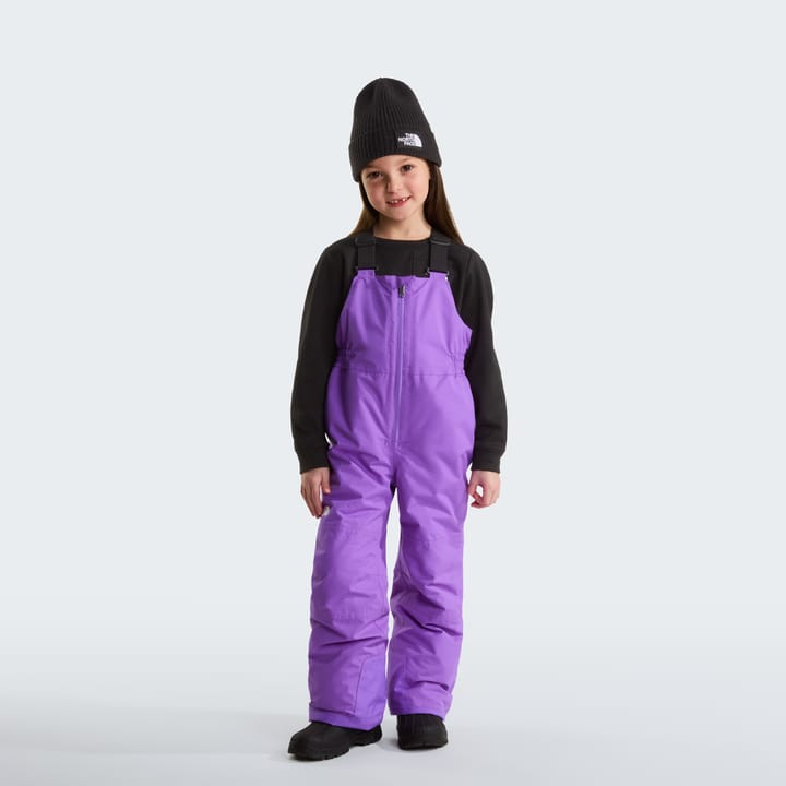 The North Face Kids' Freedom Insulated Bib Pants Elevation Purple The North Face