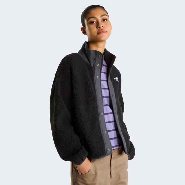 The North Face Women's Cragmont Fleece Jacket TNF Black/Anthracite Grey The North Face