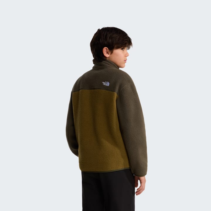The North Face Teens' Yumiori 1/4 Zip Fleece Jacket Caraway Seed/New Taupe Green The North Face