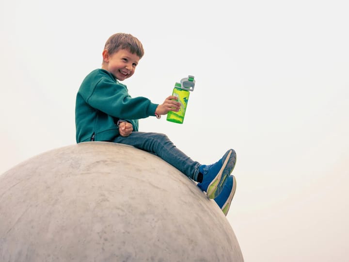 SIGG Kids' Water Bottle Viva One 0,5 L Jurassica SIGG