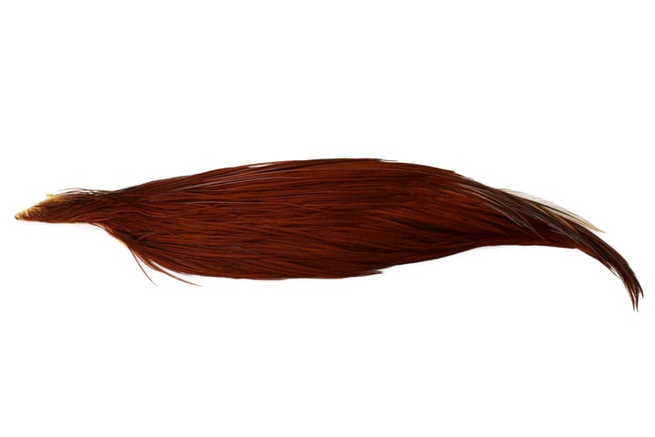 Whiting Bronze 1/2 Cape Whiting