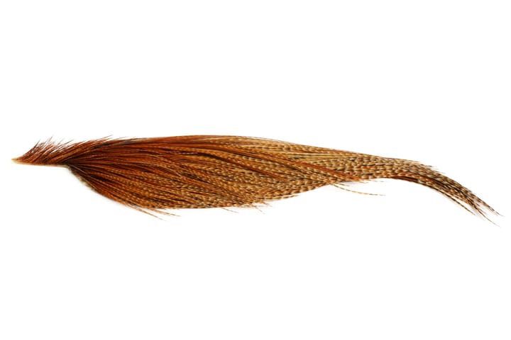 Whiting Bronze 1/2 Cape Whiting Whiting Bronze 1/2 Cape Whiting