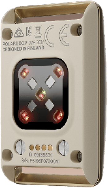 Polar Loop Beige White Polar