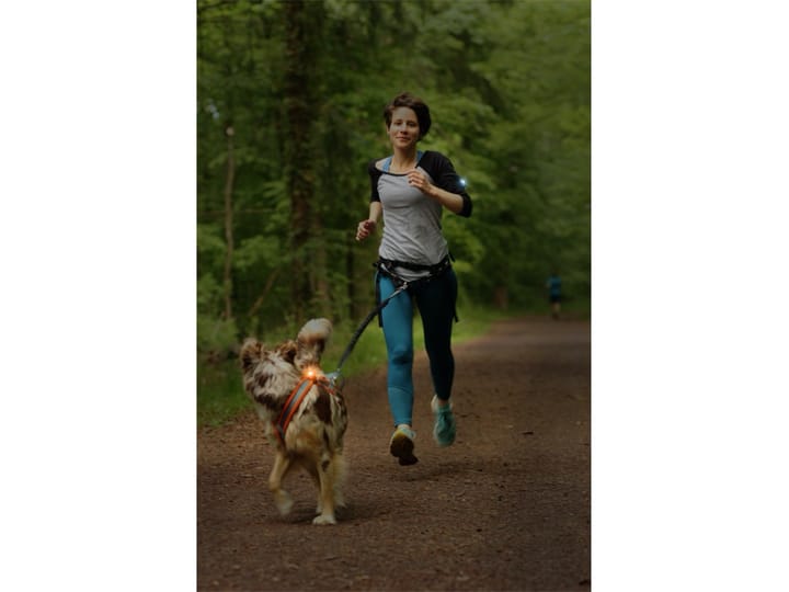 Orbiloc Dog Dual K9 active pack Svart/Amber Orbiloc Orbiloc Dog Dual K9 active pack Svart/Amber Orbiloc
