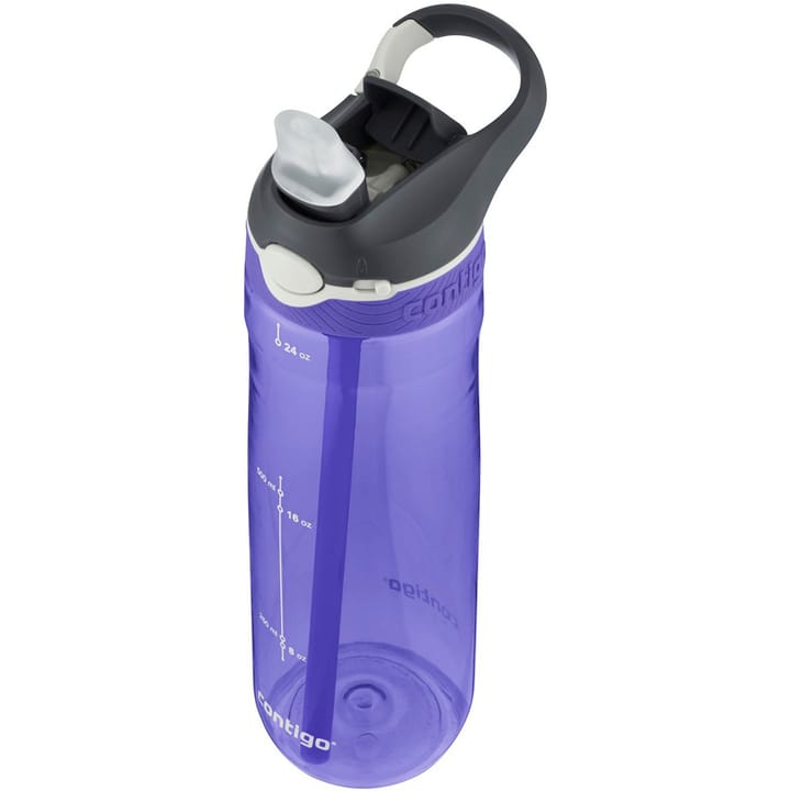 Contigo Ashland Grapevine Contigo Contigo Ashland Grapevine Contigo