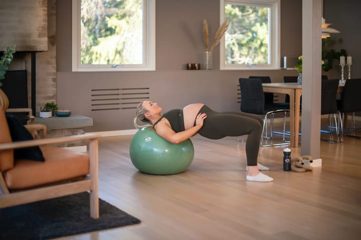 Abilica FitnessBall 65 cm Green Abilica Abilica FitnessBall 65 cm Green Abilica