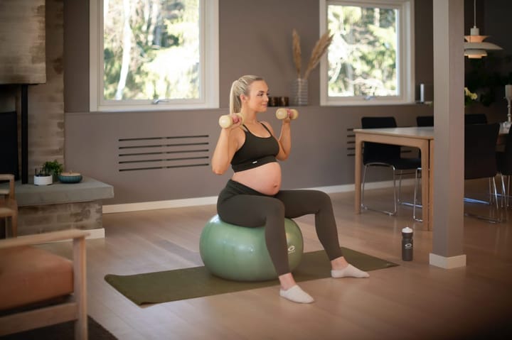 Abilica DumbBell 4 kg Grey Abilica Abilica DumbBell 4 kg Grey Abilica