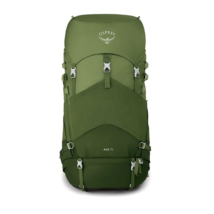 Osprey Ace 75 Venture Green Osprey