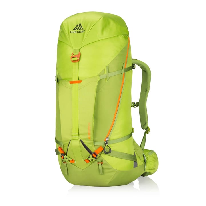 Gregory ALPINISTO 50 Lichen Green Gregory