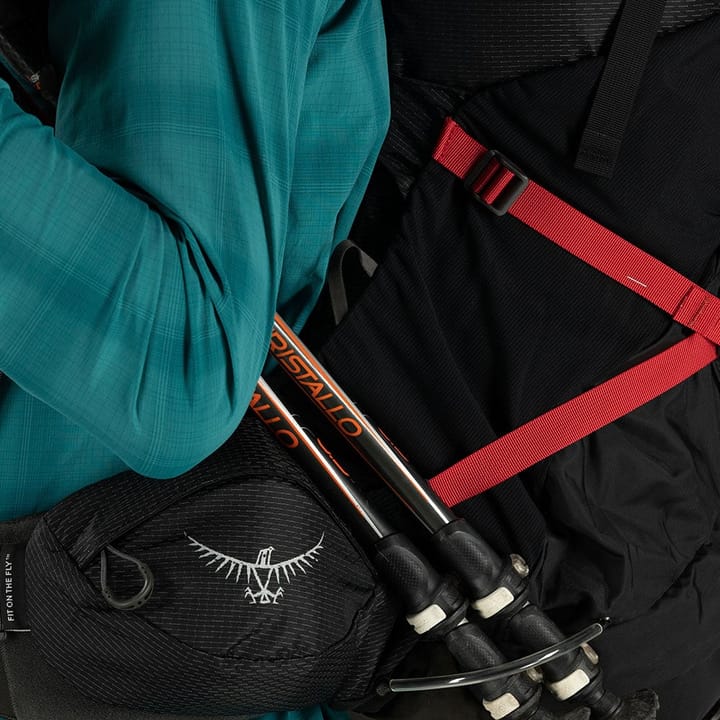 Osprey Aether Plus 85 Axo Green Osprey Osprey Aether Plus 85 Axo Green Osprey