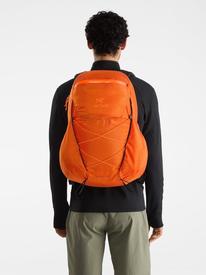 Arc'teryx Men's Aerios 30 Backpack Phenom Arc'teryx