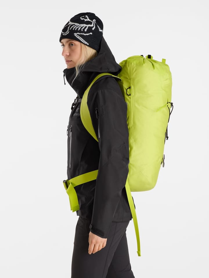 Arc'teryx Alpha FL 30 Backpack Black Arc'teryx