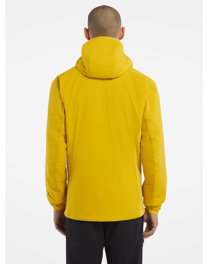 Arc'teryx Atom LT Hoody Men's Oracle Arc'teryx Arc'teryx Atom LT Hoody Men's Oracle Arc'teryx