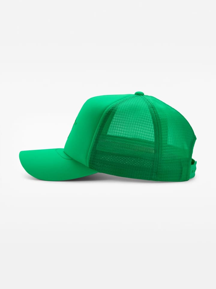 Arc'teryx Bird Trucker Curved Jungle Arc'teryx