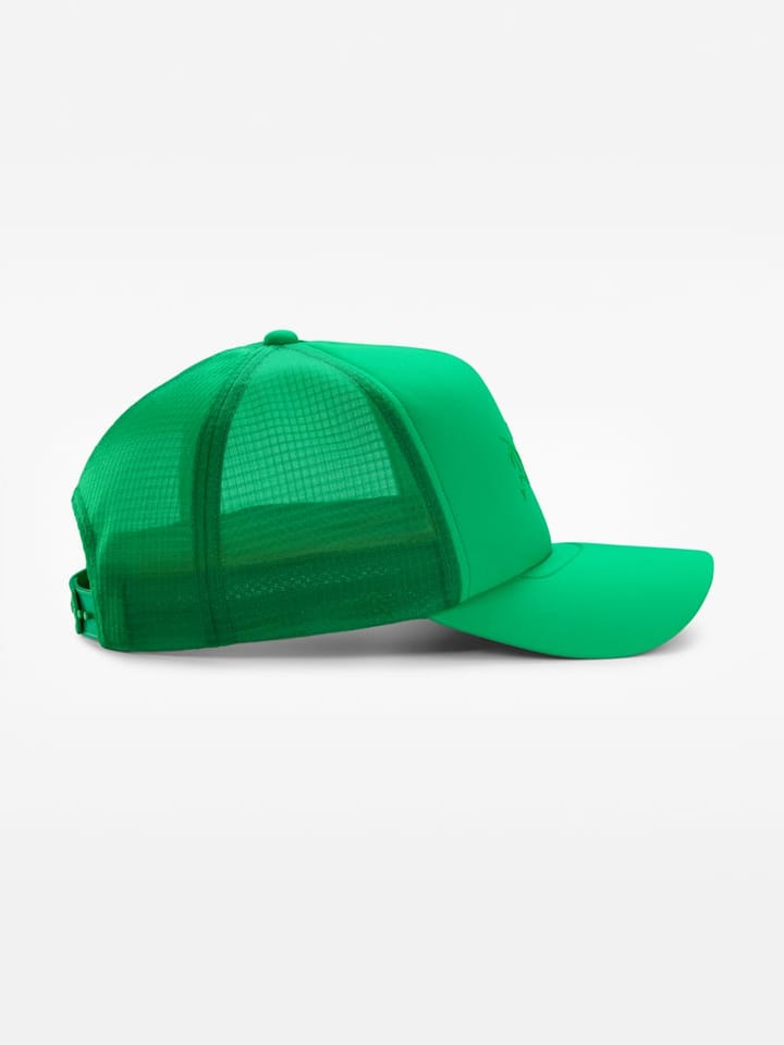 Arc'teryx Bird Trucker Curved Jungle Arc'teryx