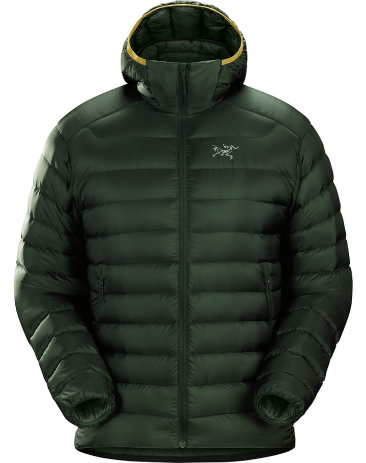 Arc'teryx Men's Cerium LT Hoody Conifer Arc'teryx