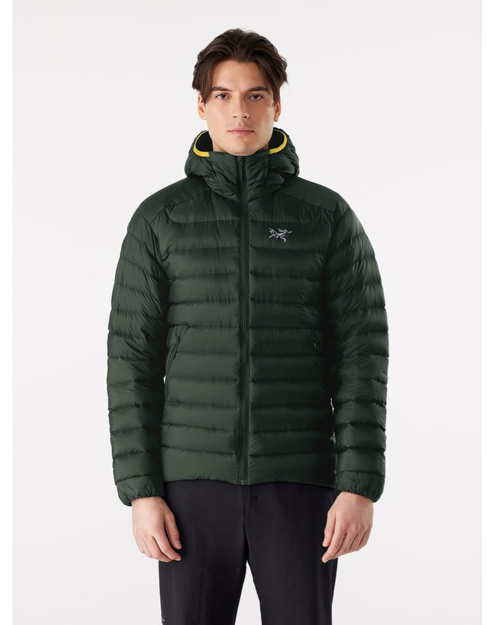 Arc'teryx Men's Cerium LT Hoody Conifer Arc'teryx