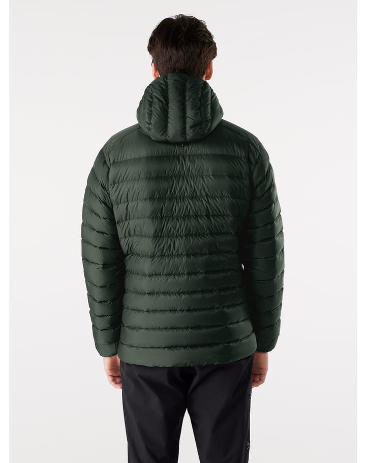 Arc'teryx Men's Cerium LT Hoody Conifer Arc'teryx