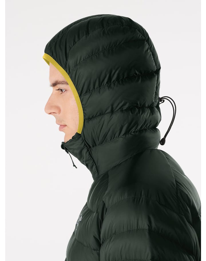 Arc'teryx Men's Cerium LT Hoody Conifer Arc'teryx