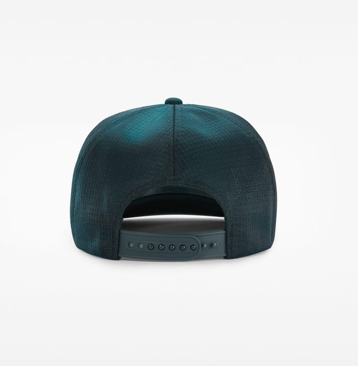 Arc'teryx Logo Trucker Flat Labyrinth Arc'teryx