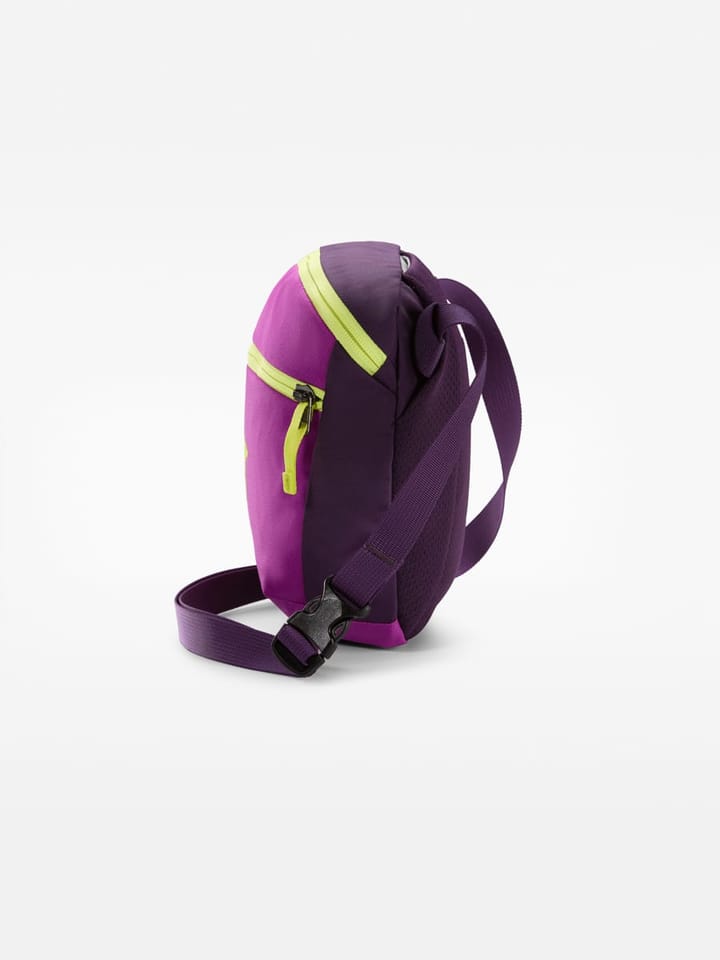 Arc'teryx Mantis 2 Waist Pack Groovie/Expanse Arc'teryx