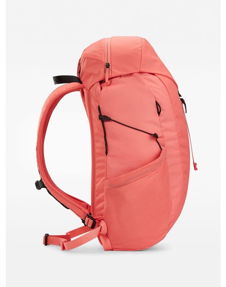 Arc'teryx Mantis 20 Backpack Solasta Arc'teryx