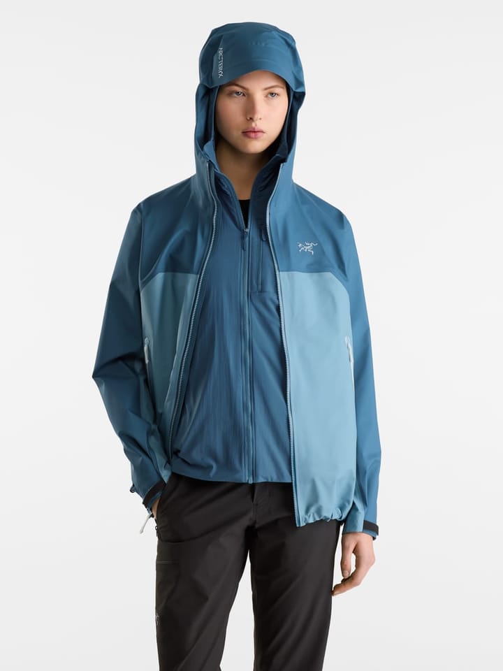 Arc'teryx Proton Lightweight Hoody W Serene Arc'teryx