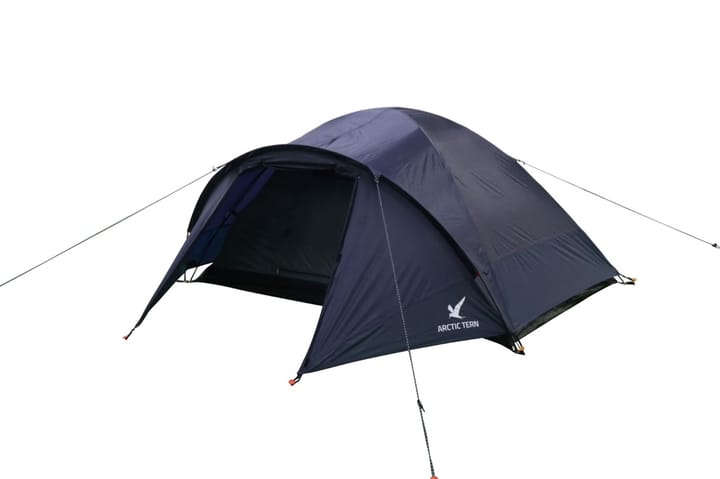 Arctic Tern Camp 2 Blue Arctic Tern